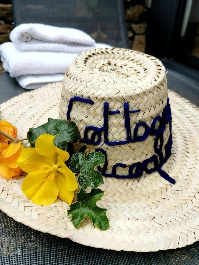 Cottages Du Valcoquet แซ็ง-เบรแว็ง-เล-แป็ง ภายนอก รูปภาพ